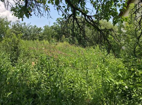 Casa de vânzare 2 camere Manastur - 32706CV | BLITZ Cluj-Napoca | Poza7