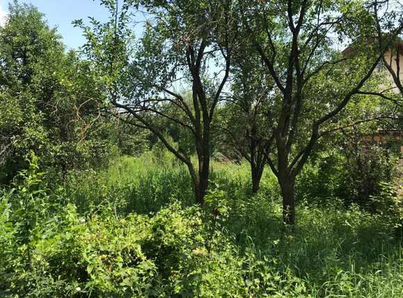 Casa de vânzare 2 camere Manastur - 32706CV | BLITZ Cluj-Napoca | Poza6