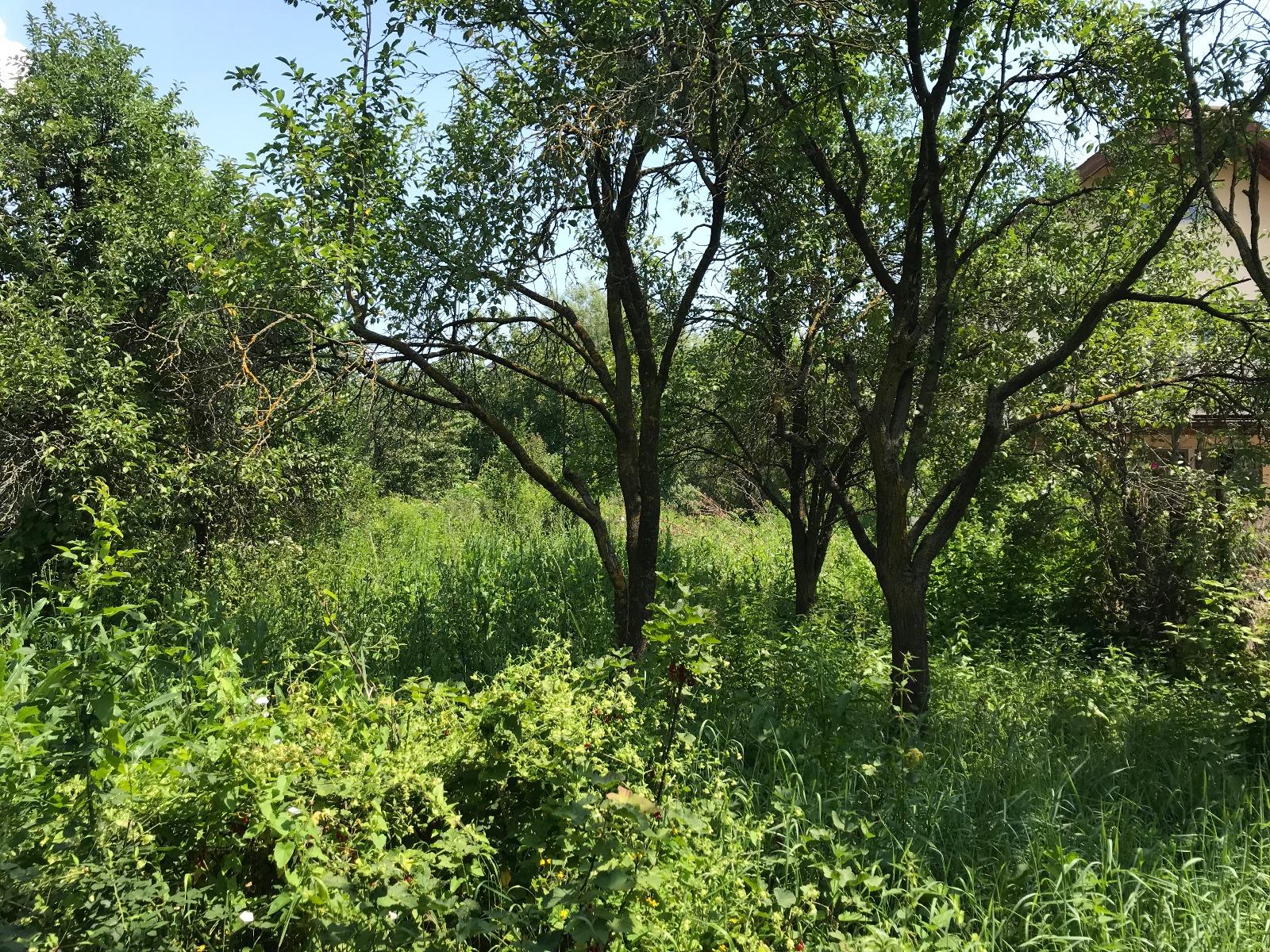 Casa de vânzare 2 camere Manastur - 32706CV | BLITZ Cluj-Napoca | Poza6