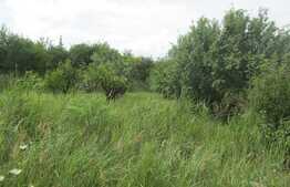 De vanzare teren intravilan 5800 mp, front 33 ml, zona linistita