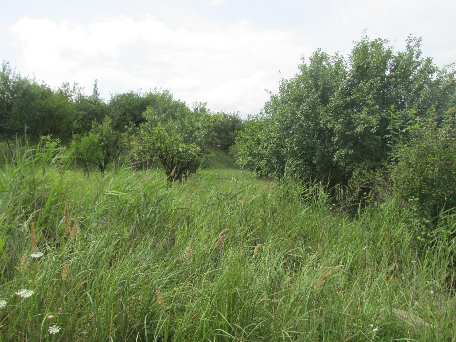 Teren de vânzare Borhanci - 32707TV | BLITZ Cluj-Napoca | Poza2