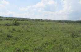 De vanzare teren intravilan, 4000 mp, zona linistita