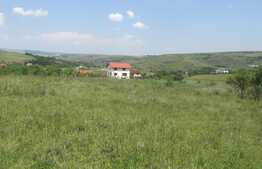 De vanzare teren intravilan, 4000 mp, zona linistita