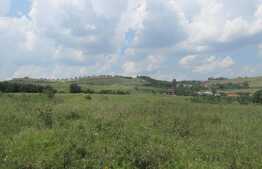 De vanzare teren intravilan, 4000 mp, zona linistita