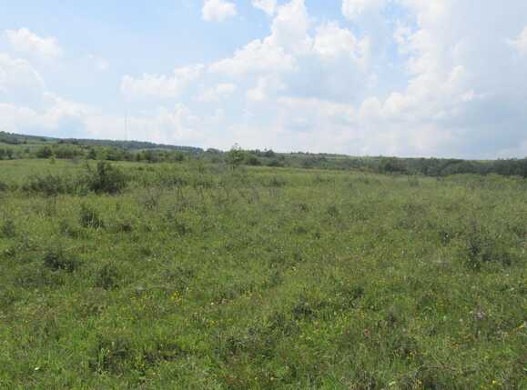 Teren de vânzare Borhanci - 32709TV | BLITZ Cluj-Napoca | Poza2