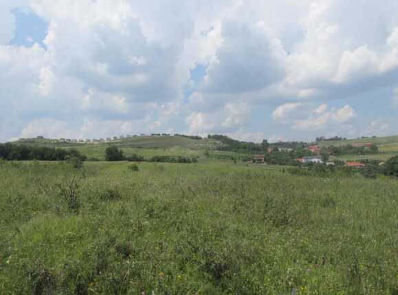 Teren de vânzare Borhanci - 32709TV | BLITZ Cluj-Napoca | Poza1