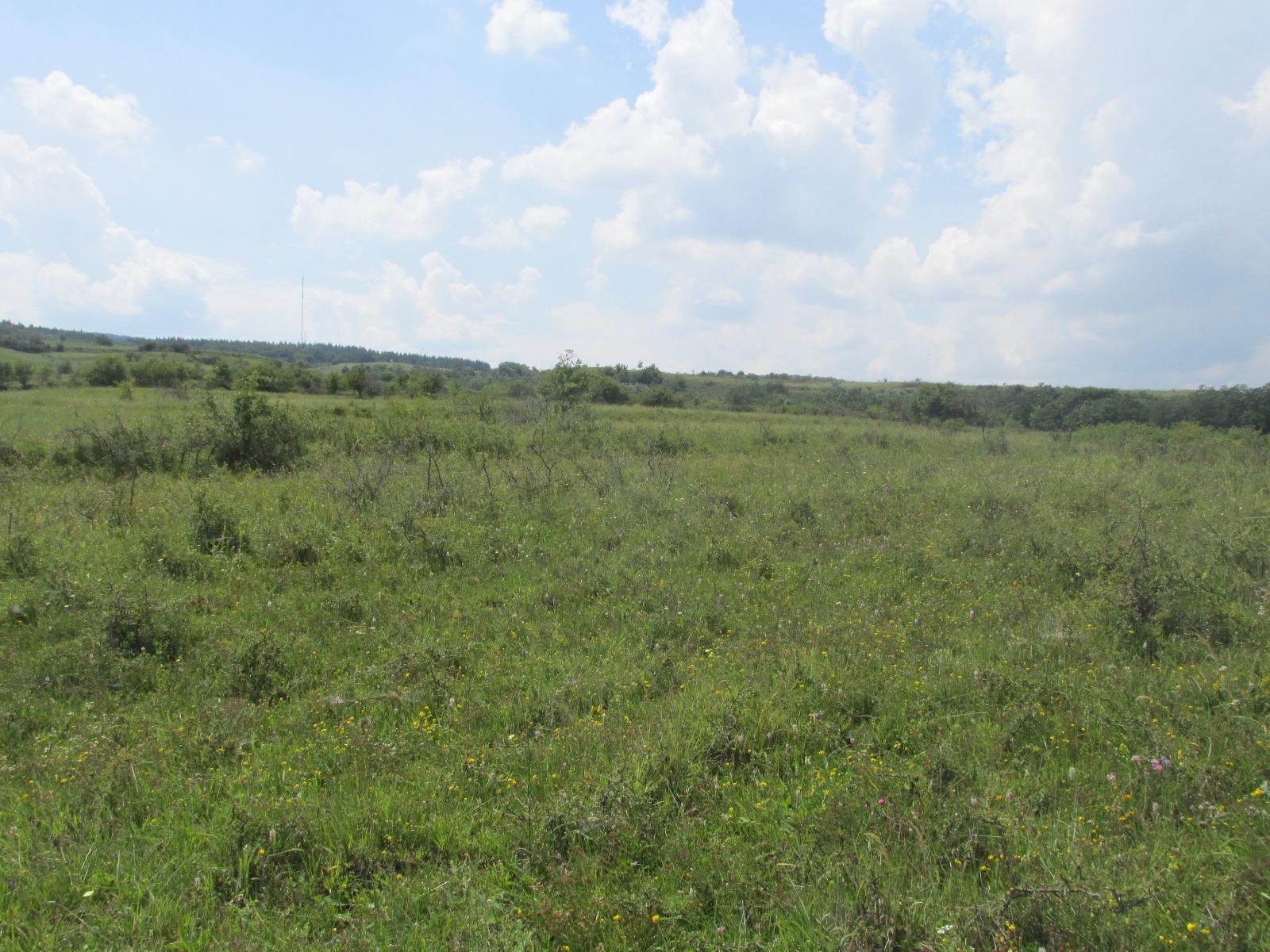 Teren de vânzare Borhanci - 32709TV | BLITZ Cluj-Napoca | Poza2