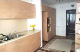 Garsoniera de inchiriat 33 mp, gradina de 44 mp! Zona Terra!