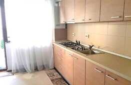 Garsoniera de inchiriat 33 mp, gradina de 44 mp! Zona Terra!