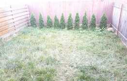 Garsoniera de inchiriat 33 mp, gradina de 44 mp! Zona Terra!