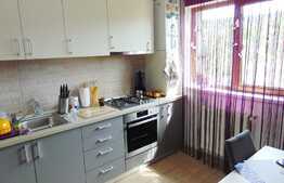 Apartament 2 camere, 60 mp terasa, parcare, zona strazii Oasului