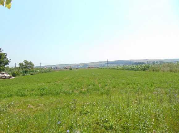 Casa de vânzare 2 camere Exterior Est - 32734CV | BLITZ Cluj-Napoca | Poza8