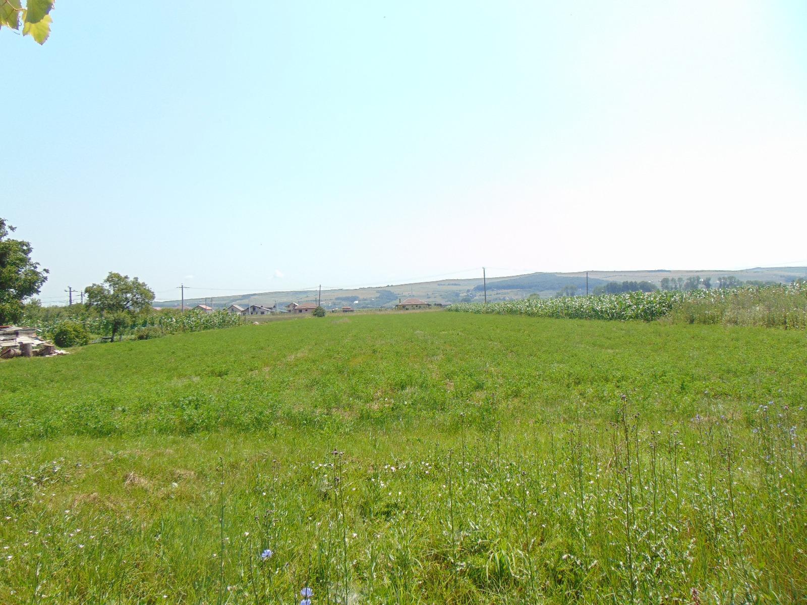 Casa de vânzare 2 camere Exterior Est - 32734CV | BLITZ Cluj-Napoca | Poza8