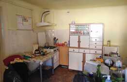 Casa individuala, 60 mp, teren aferent 861 mp, zona Stadion CFR