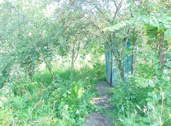 Casa de vânzare 2 camere Gruia - 32737CV | BLITZ Cluj-Napoca | Poza6