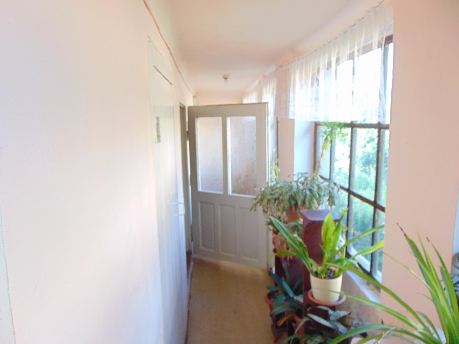 Casa de vânzare 2 camere Gruia - 32737CV | BLITZ Cluj-Napoca | Poza5