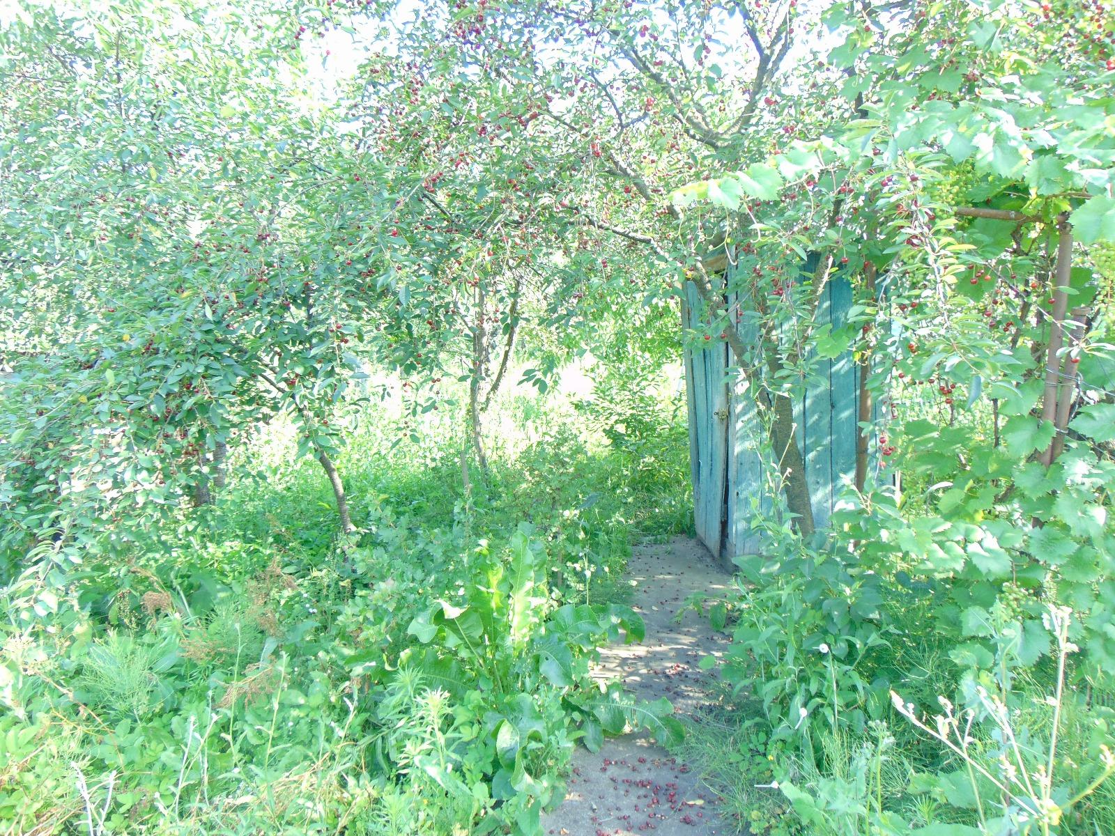 Casa de vânzare 2 camere Gruia - 32737CV | BLITZ Cluj-Napoca | Poza6