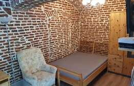 Garsoniera 22 mp, mobilata modern, zona Platinia