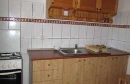 Apartament 1 camera, 45 mp, zona Grand Hotel Italia