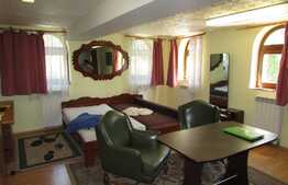 Apartament 1 camera, 45 mp, zona Grand Hotel Italia