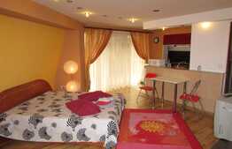 Garsoniera, 42 mp, zona Casa Piratilor