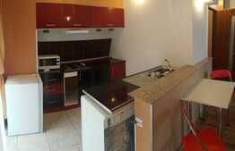 Garsoniera, 42 mp, zona Casa Piratilor