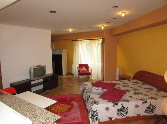 Garsonieră de închiriat Manastur - 32788AI | BLITZ Cluj-Napoca | Poza2