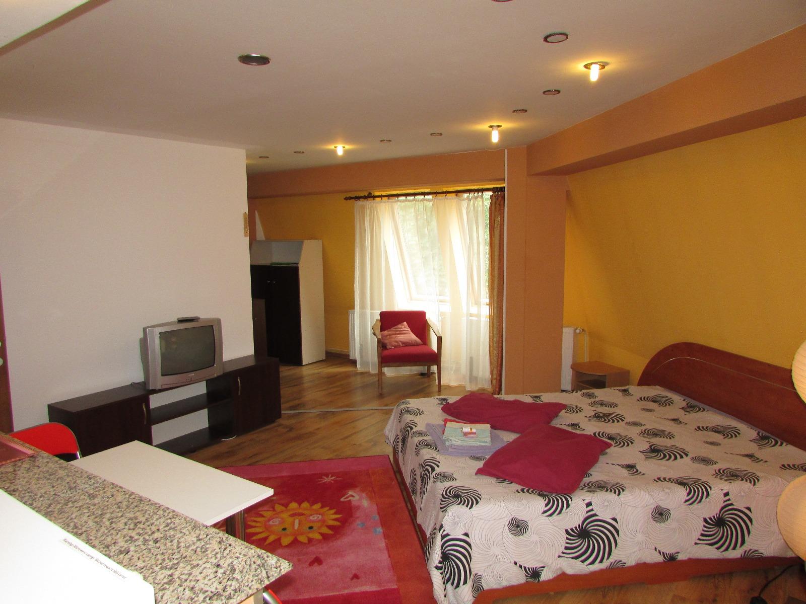 Garsonieră de închiriat Manastur - 32788AI | BLITZ Cluj-Napoca | Poza2