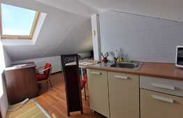 Garsoniera, 42 mp, zona Casa Piratilor