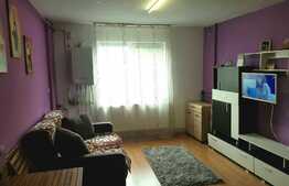 Garsoniera de vanzare, 22 mp, zona strazii Corneliu Coposu