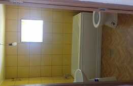 Vanzare casa individuala in EXCLUSIVITATE cu teren de 3217 mp in Feiurdeni