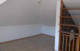 Vanzare casa individuala in EXCLUSIVITATE cu teren de 3217 mp in Feiurdeni