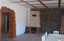 Vanzare casa individuala in EXCLUSIVITATE cu teren de 3217 mp in Feiurdeni