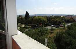 Apartament 1 camera + nisa dormit, etaj intermediar, zona strazii Dorobantilor