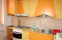 Apartament 1 camera + nisa dormit, etaj intermediar, zona strazii Dorobantilor