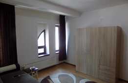 Garsoniera, 33 mp, decomandata, zona Piata Muzeului