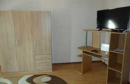 Garsoniera, 33 mp, decomandata, zona Piata Muzeului