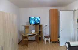 Garsoniera, 33 mp, decomandata, zona Piata Muzeului