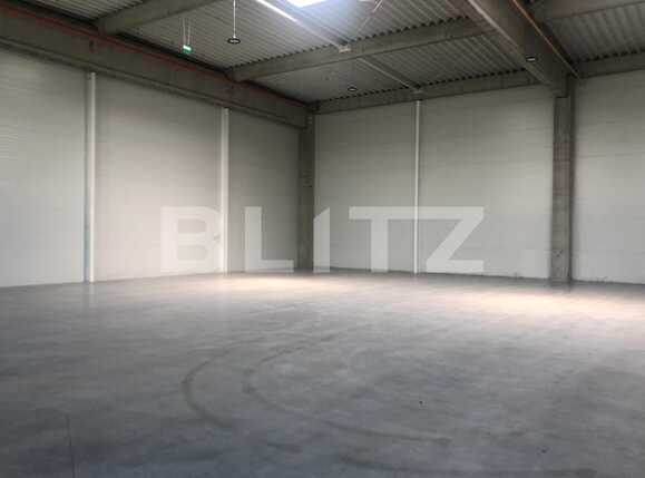 Spațiu industrial de închiriat Apahida - 32873SII | BLITZ Cluj-Napoca | Poza5