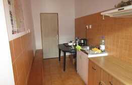 Casa insiruita de vanzare, 100 mp, 170 mp teren,  zona Garii