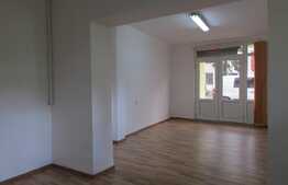 Spatiu birouri, 40 mp, Piata Mihai Viteazu