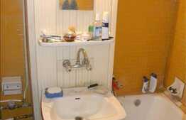 1 camera de vanzare la 3 minute de magazinul Profi