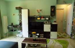 Apartament cochet, 2 camere, 46 mp, terasa 10 mp, zona strazii Porii