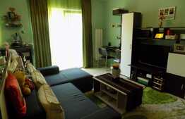 Apartament cochet, 2 camere, 46 mp, terasa 10 mp, zona strazii Porii