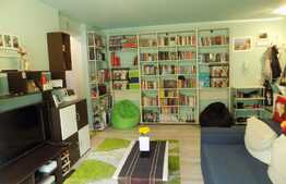 Apartament cochet, 2 camere, 46 mp, terasa 10 mp, zona strazii Porii