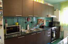 Apartament cochet, 2 camere, 46 mp, terasa 10 mp, zona strazii Porii