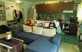 Apartament cochet, 2 camere, 46 mp, terasa 10 mp, zona strazii Porii