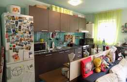 Apartament cochet, 2 camere, 46 mp, terasa 10 mp, zona strazii Porii