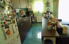 Apartament cochet, 2 camere, 46 mp, terasa 10 mp, zona strazii Porii