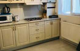 Apartament 2 camere, 48 mp, mobilat modern, zona strazii Horea